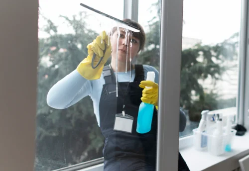 Nettoyage de vitres intérieures et extérieures à Ailhon